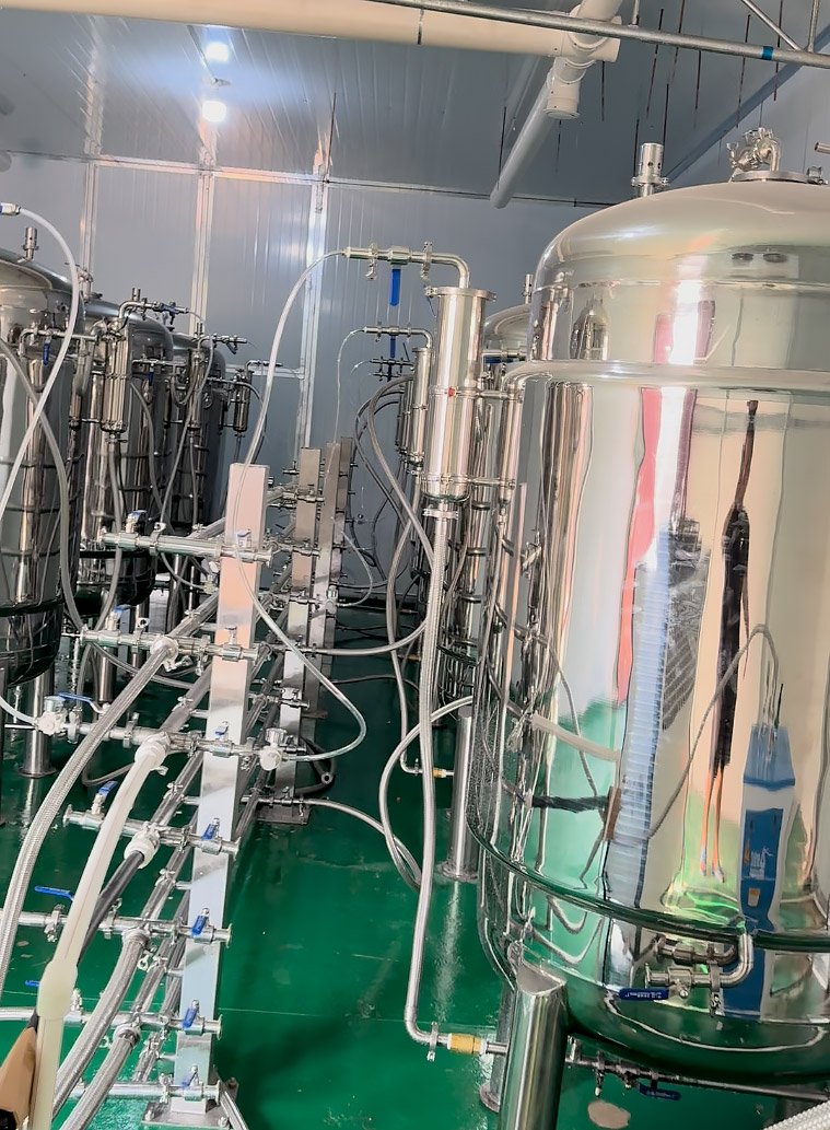 Liquid-Haoqintech-Fermentation-in-Stainless-Steel-Tanks