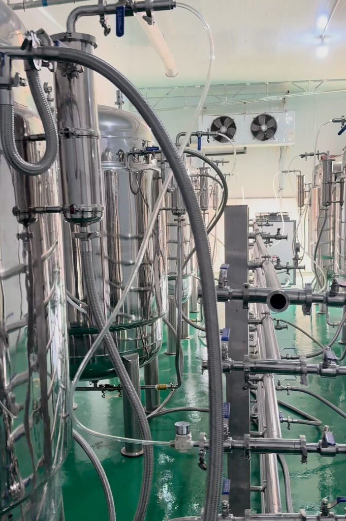 Stainless steel fermentation tanks connected by pipes, hoses, and valves in an industrial facility with green floor